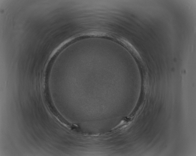 X0000086270484200704051313