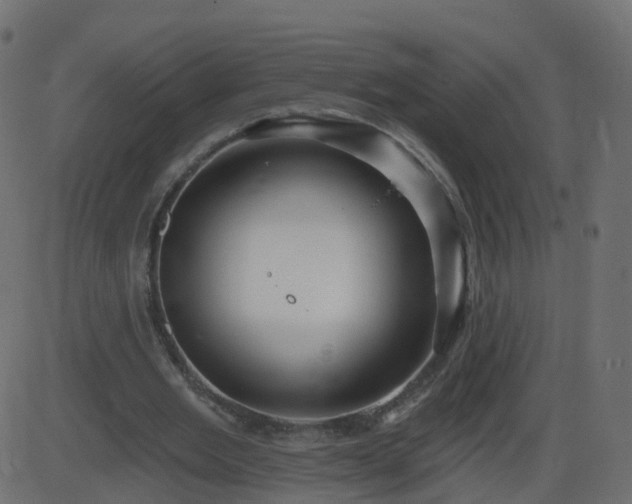 X0000086270485200704051313