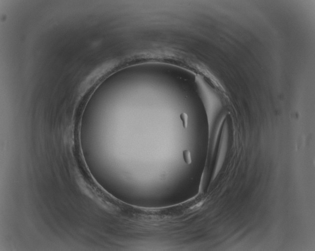 X0000086270486200704051313