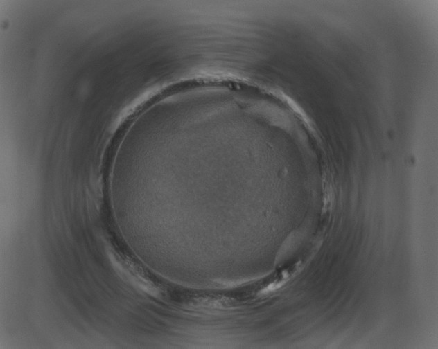 X0000086270488200704051313