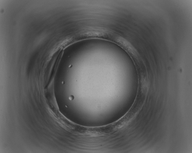 X0000086270490200704051313