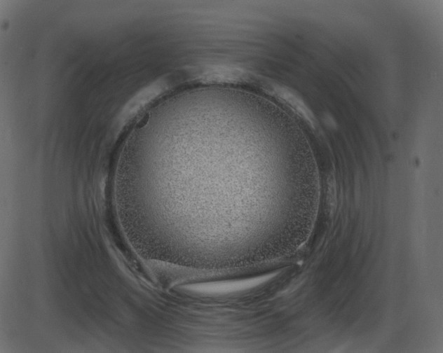 X0000086270491200704051313