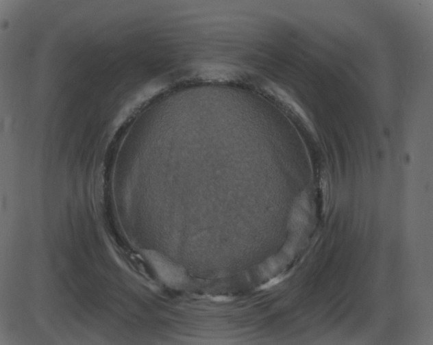 X0000086270492200704051313