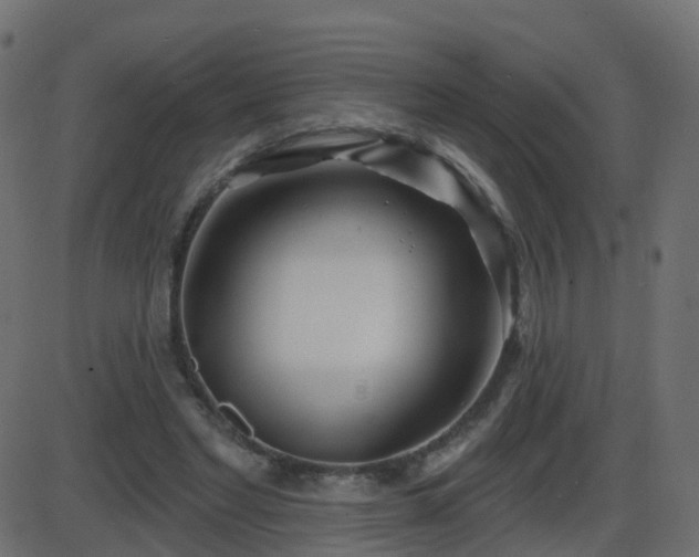 X0000086270493200704051313