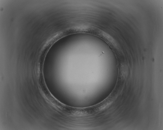 X0000086270494200704051313