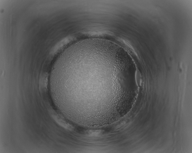 X0000086270495200704051313