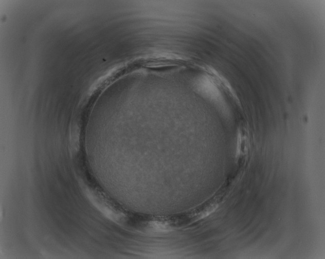 X0000086270496200704051313