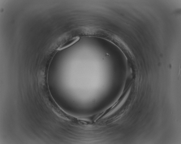 X0000086270497200704051313