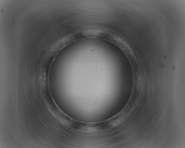 X0000086270498200704051313