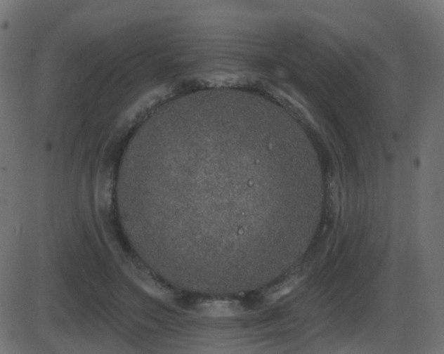 X0000086270499200704051313