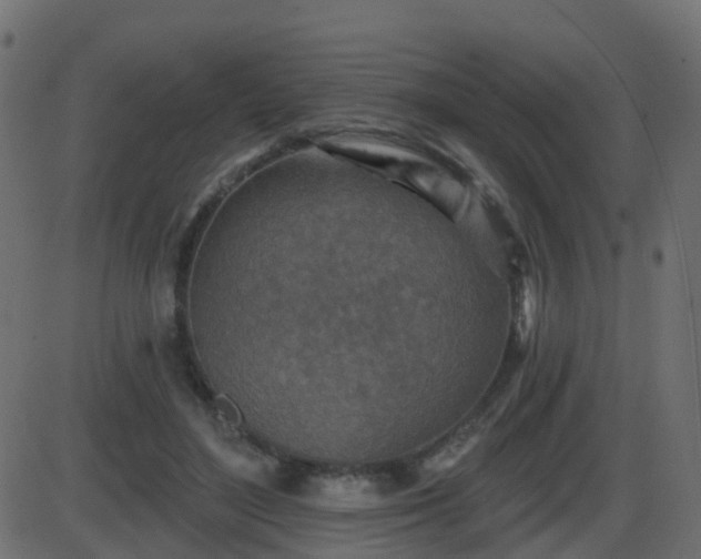 X0000086270500200704051313