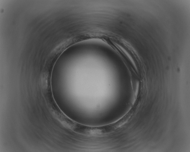 X0000086270501200704051313