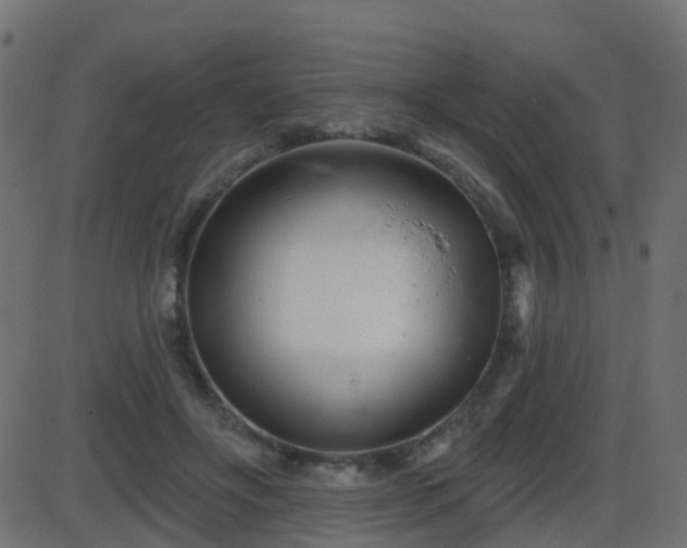 X0000086270502200704051313