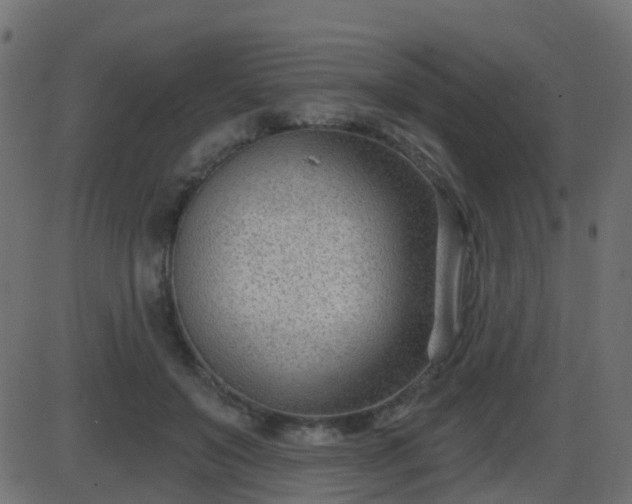 X0000086270503200704051313