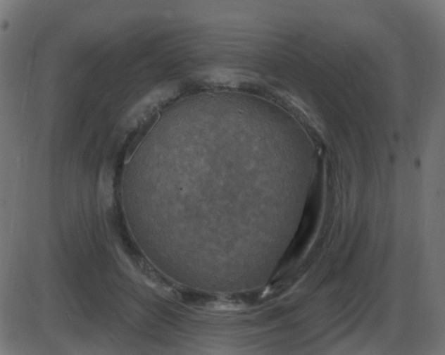 X0000086270504200704051313