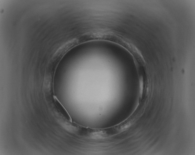 X0000086270505200704051313