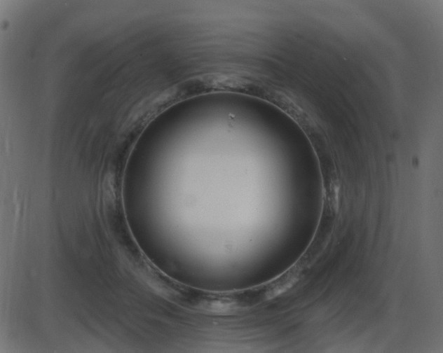 X0000086270506200704051313