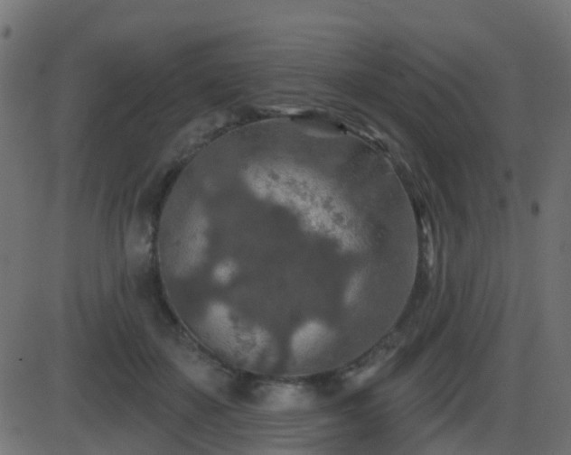 X0000086270507200704051313