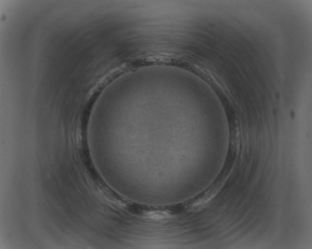 X0000086270508200704051313