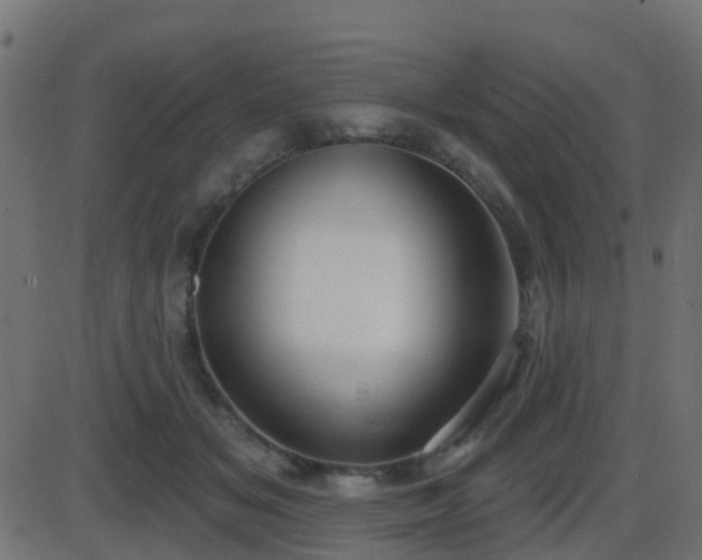 X0000086270509200704051313