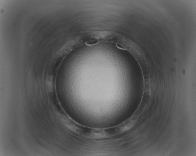 X0000086270510200704051313