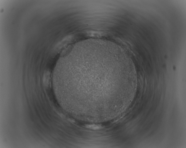 X0000086270511200704051313