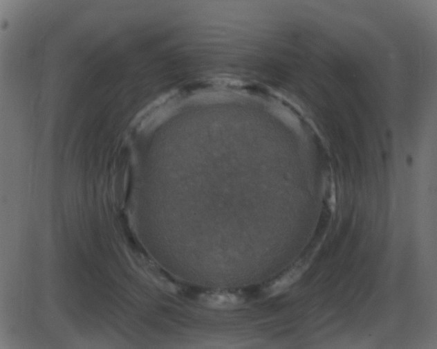 X0000086270512200704051313