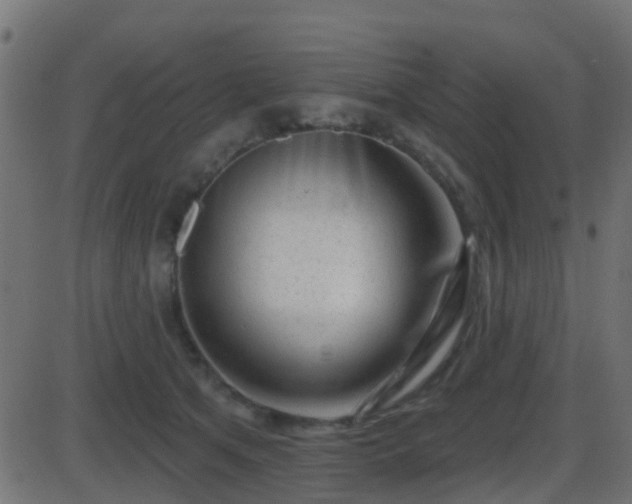 X0000086270513200704051313