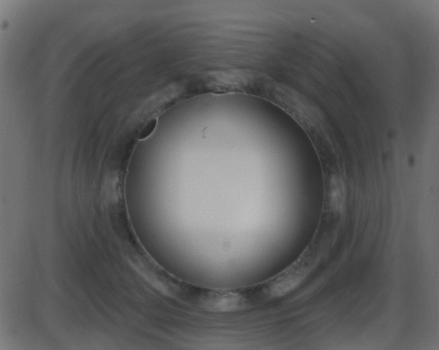 X0000086270514200704051313