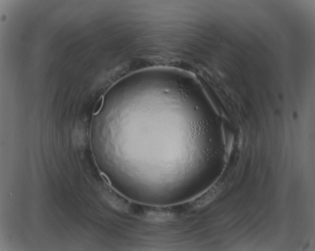 X0000086270515200704051313