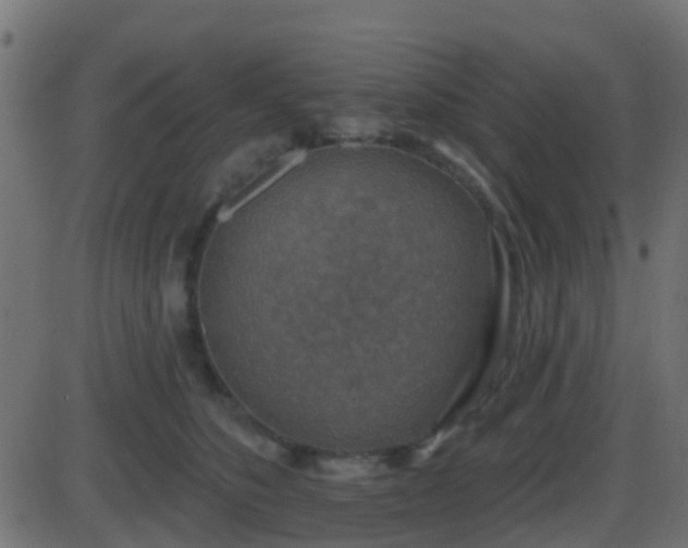 X0000086270516200704051313