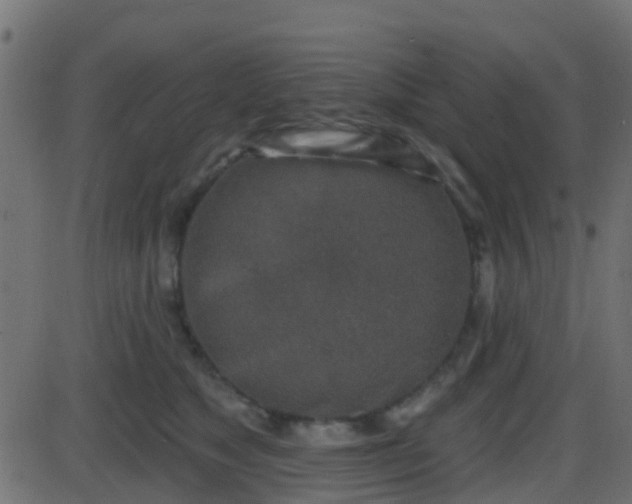 X0000086270517200704051313