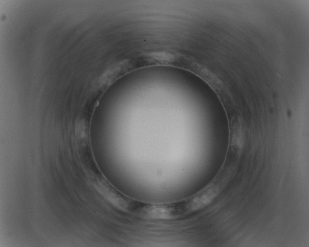 X0000086270518200704051312