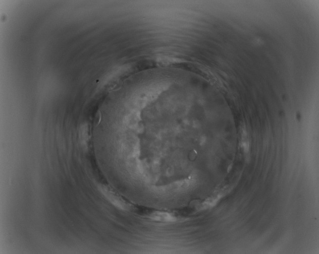 X0000086270519200704051312