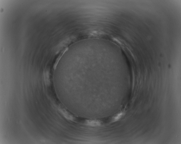 X0000086270520200704051312