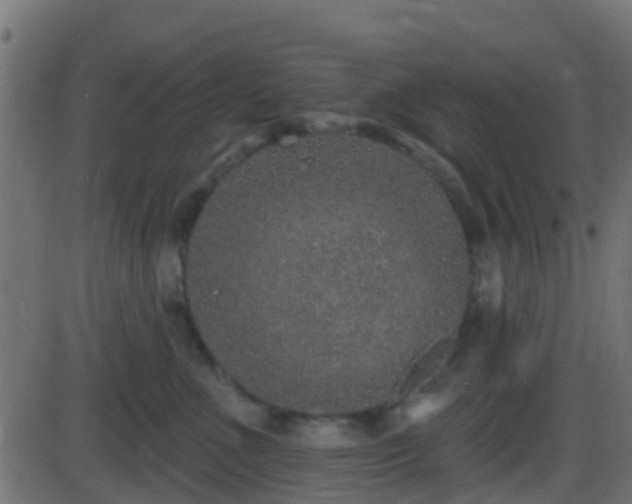 X0000086270523200704051312