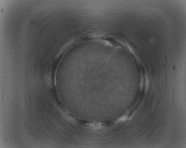 X0000086270524200704051312