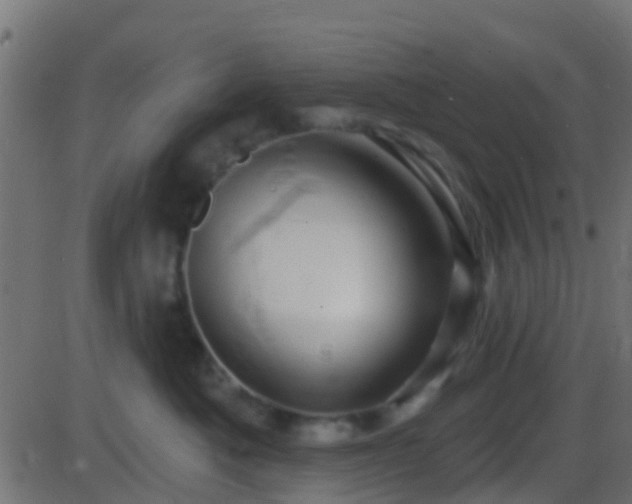 X0000086270525200704051312