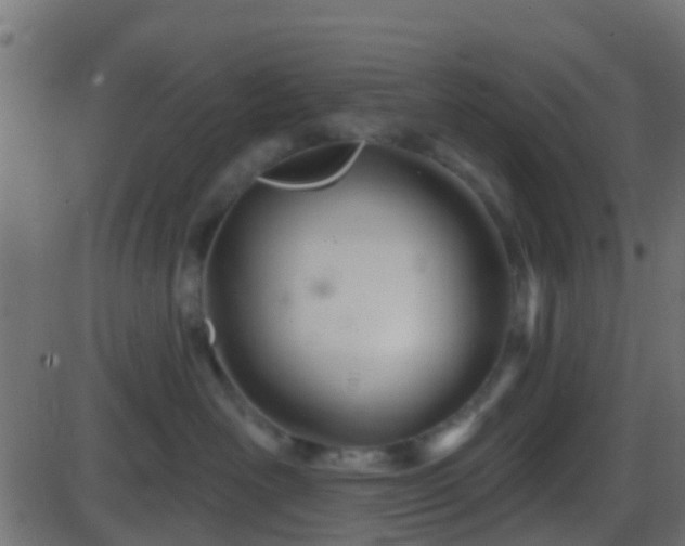 X0000086270526200704051312