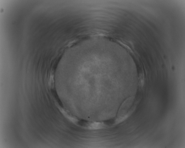 X0000086270527200704051312