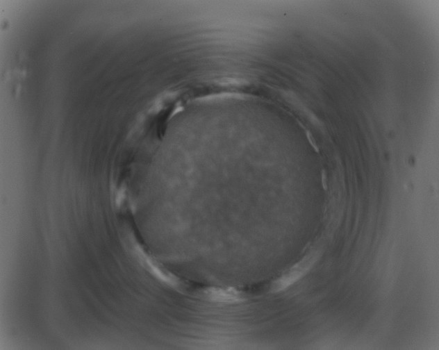 X0000086270528200704051312