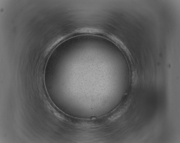 X0000086270529200704051312