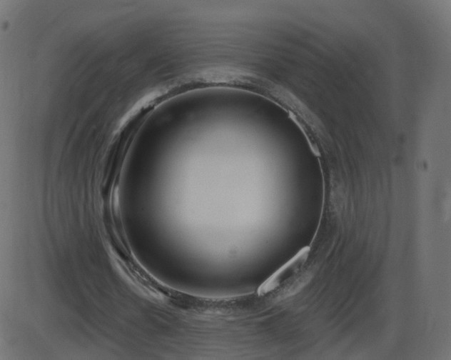 X0000086270530200704051312