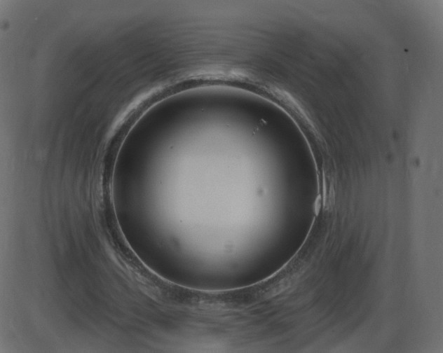 X0000086270531200704051312