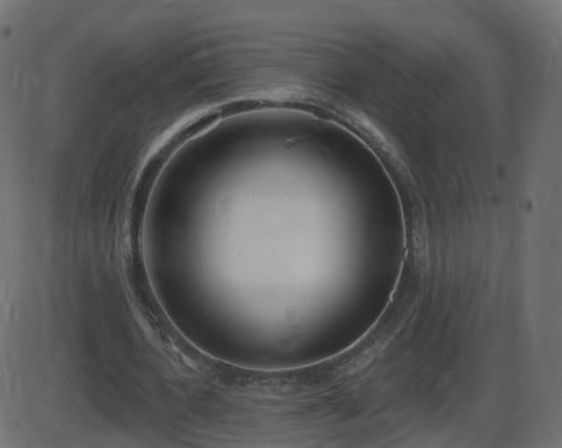 X0000086270532200704051312