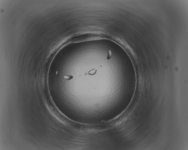 X0000086270533200704051312