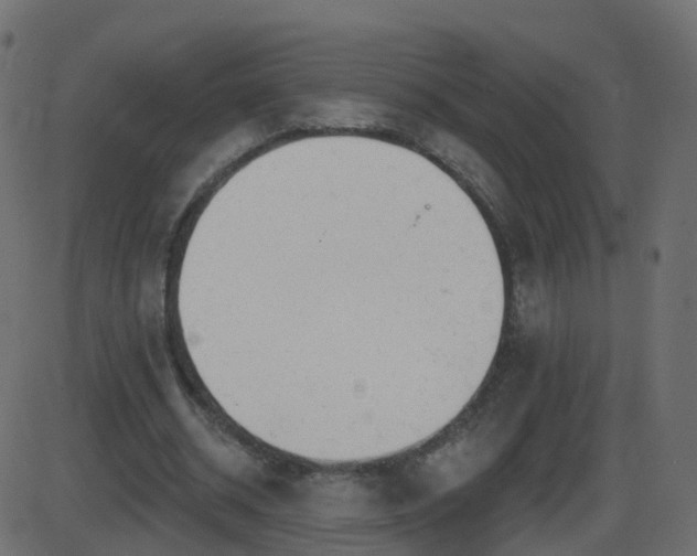 X0000086270534200704051312