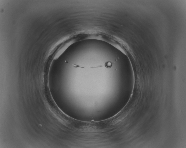 X0000086270535200704051312