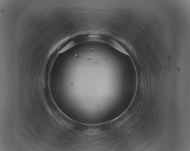 X0000086270536200704051312