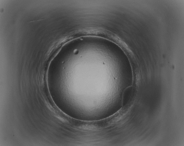 X0000086270537200704051312